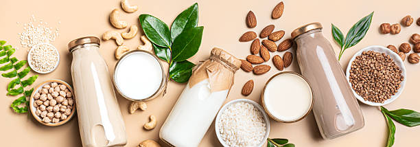 Assorted dairy and plant-based milk cartons