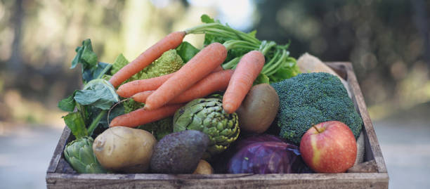 Prepared weekly meal containers with vegetables and grains